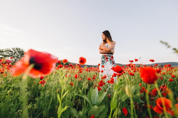 Ragazza in un campo di papaveri in fiore Giovane donna in posa in un campo di papaveri Posto banner per il testo