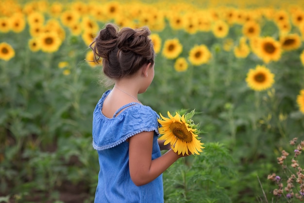 Ragazza in un giacimento del girasole, estate al tramonto.