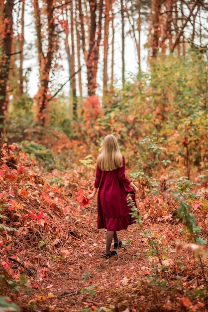 Ragazza in un vestito rosso nella foresta autunnale. Un bellissimo bosco da favola. Foto dal retro.