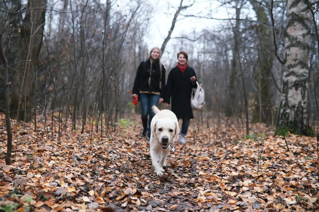 Ragazza in una passeggiata in autunno