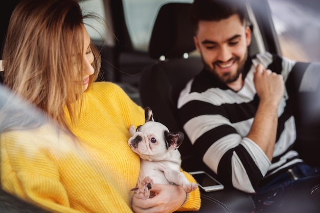 Ragazza moderna abbastanza sorridente in un maglione giallo che tiene un piccolo cane sveglio mentre era seduto in una macchina con un bel ragazzo barbuto.