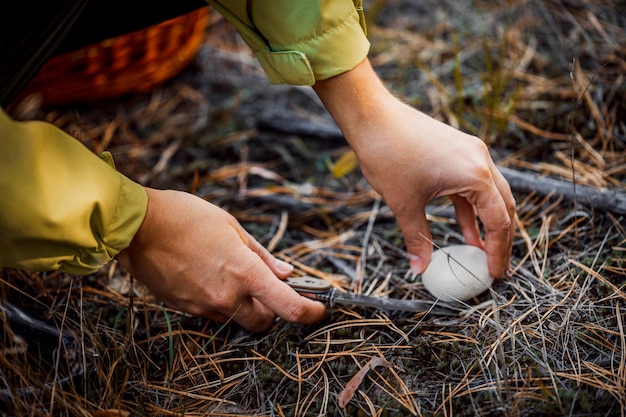 Ragazza nella foresta autunnale che raccoglie funghi