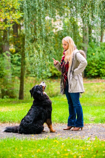 Ragazza nella sosta di autunno che prepara il suo cane nell&#39;obbedienza