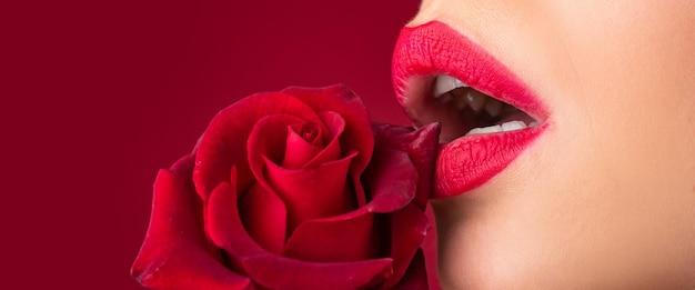Ragazza pompino con labbra simbolo del sesso orale lingua con rossetto primo piano labbra di bella donna con rosa