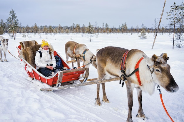 Ragazza sulla slitta delle renne in inverno Rovaniemi, Lapponia, Finlandia