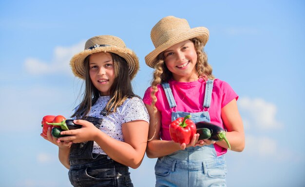 Ragazze carine bambini in cappelli che coltivano Bambini che raccolgono verdure Vendono cibo nostrano Concetto Mercato di verdure Sorelle felici lavorano nella fattoria di famiglia Nutrizione vitaminica naturale Verdure biologiche