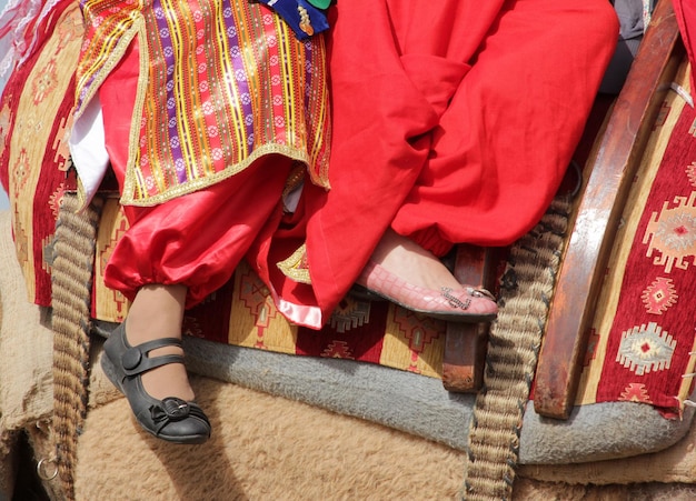 ragazze in abiti folcloristici sui cammelli