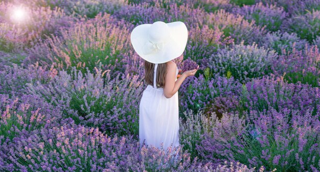 ragazzina in posa con fiori di lavanda bella ragazza in un campo di lavanda circondata da fiori ragazzina a fiori di Lavanda in giardino giovane ragazza in abito bianco che cammina tra fiori di levanda