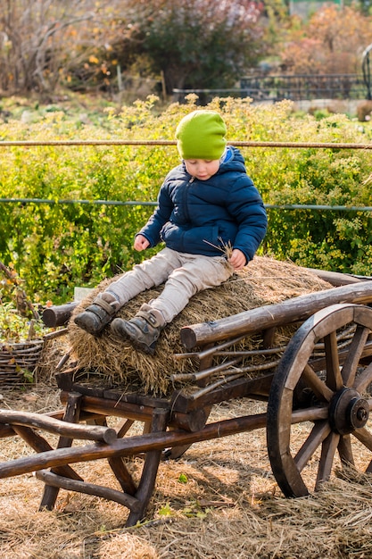 Ragazzino antiquato che si siede ad una carrozza di legno d'annata