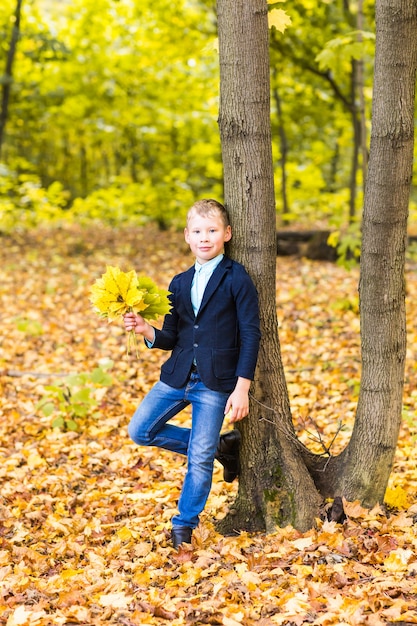 Ragazzino bello nel parco soleggiato di autunno con le foglie di acero