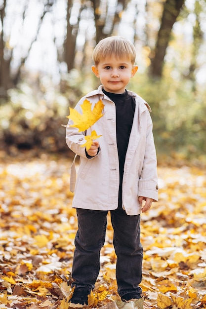 Ragazzino carino con foglia nel parco autunnale