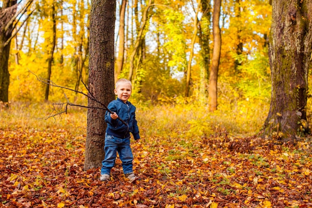 Ragazzino carino in piedi vicino all'albero nel parco autunnale Il ragazzo gioca con un bastone