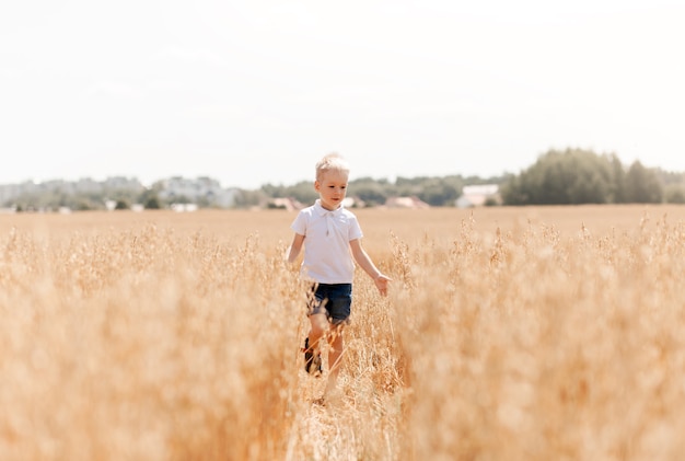 Ragazzino che cammina attraverso il campo in estate. Infanzia. Estate. Vacanze estive