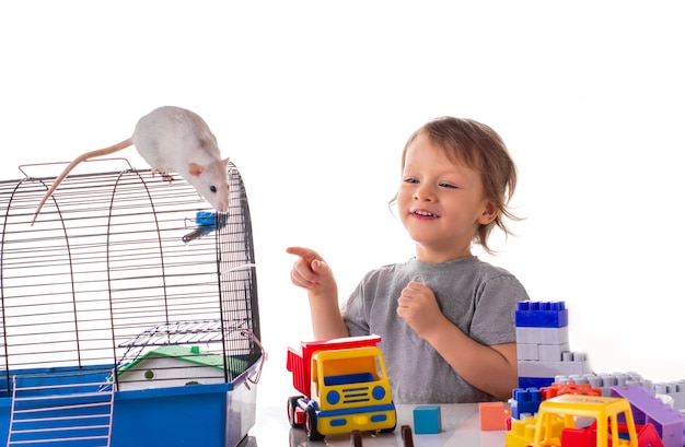 Ragazzino che gioca con un animale domestico del ratto bianco