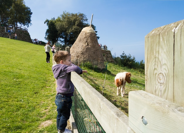 Ragazzino che guarda pony in un prato verde dal cancello