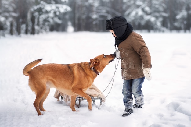 Ragazzino con la slitta nella foresta di inverno