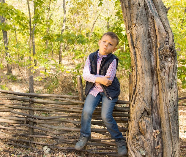 Ragazzino con un atteggiamento seduto su una recinzione di legno rustica all'aperto nel bosco guardando la telecamera con le braccia conserte