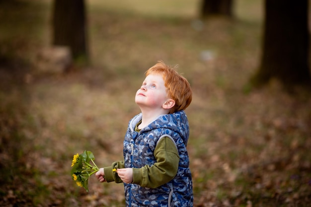 Ragazzino dai capelli rossi che tiene fiori e guarda il cielo