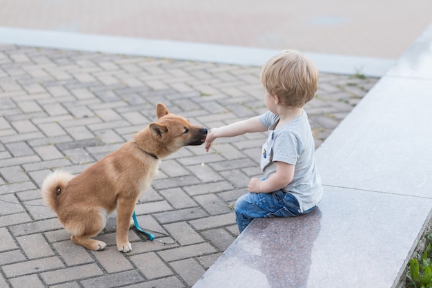 Ragazzino e cucciolo di shiba inu rosso che giocano all'aperto in estate, Baby nutre il suo cane con carne