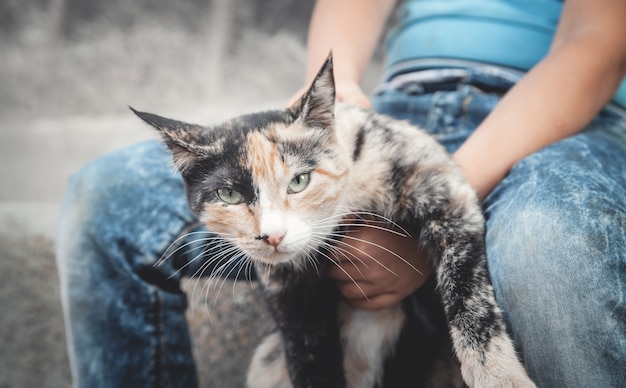 Ragazzino e gatto all'aperto.