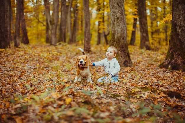 Ragazzino felice che cammina con il suo cane beagle nel parco. Vista da dietro