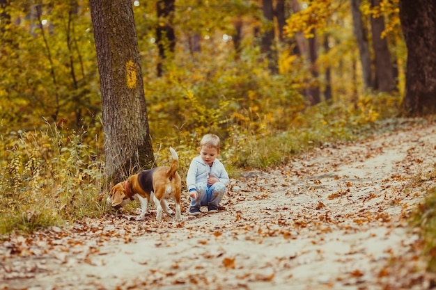 Ragazzino felice che cammina con il suo cane beagle nel parco