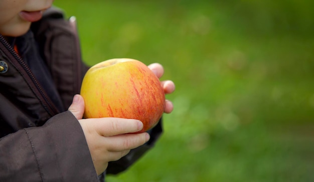 Ragazzino o ragazza che mangia mela biologica Bambino che tiene in mano frutta rossa e arancione fresca Sana