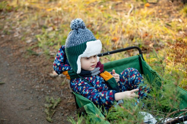 Ragazzino seduto in un carro su una strada in una foresta