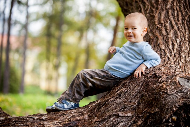 Ragazzino sull'albero