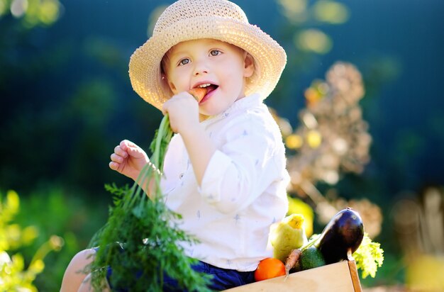 Ragazzino sveglio in cappello di paglia che mangia carota organica che si siede sulla cassa di legno con la verdura fresca