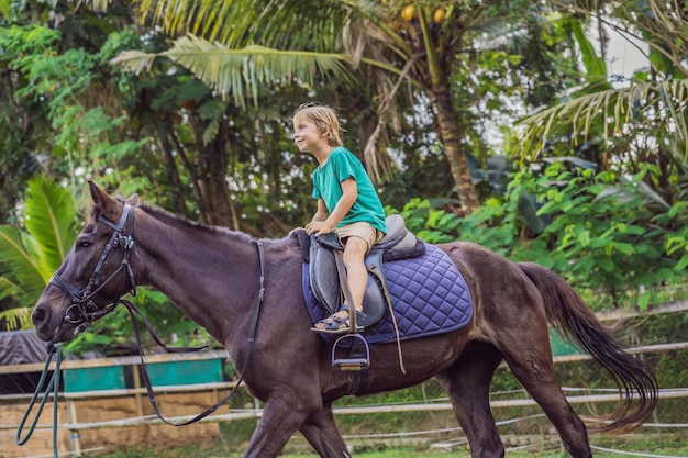 Ragazzo a cavallo che esegue esercizi a cavallo