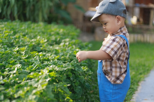 Ragazzo asiatico del bambino che gioca nel giardino