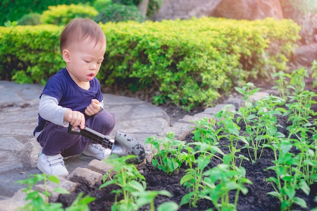 Ragazzo asiatico del bambino che pianta giovane albero su suolo nero nel giardino verde