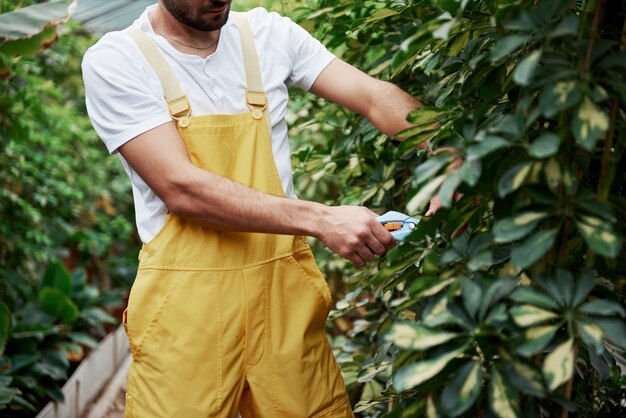 Ragazzo barbuto che lavora. Avendo lavoro in giardino pieno di bellissime piante verdi.