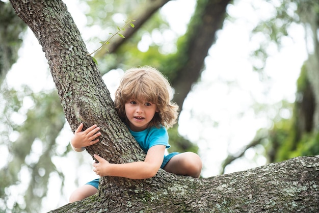 Ragazzo carino appeso al ramo bambino che si arrampica su un albero durante l'ora legale