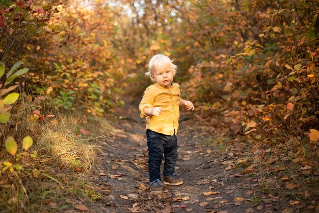 Ragazzo carino in autunno foresta sfondo con alberi d'oro