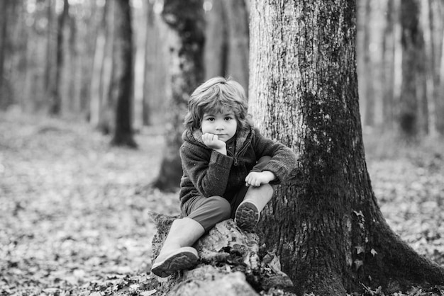Ragazzo carino seduto su foglie cadute bambino che cammina nel parco autunnale