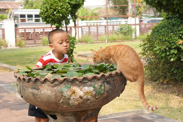 Ragazzo che gioca con il gatto nella vasca da bagno