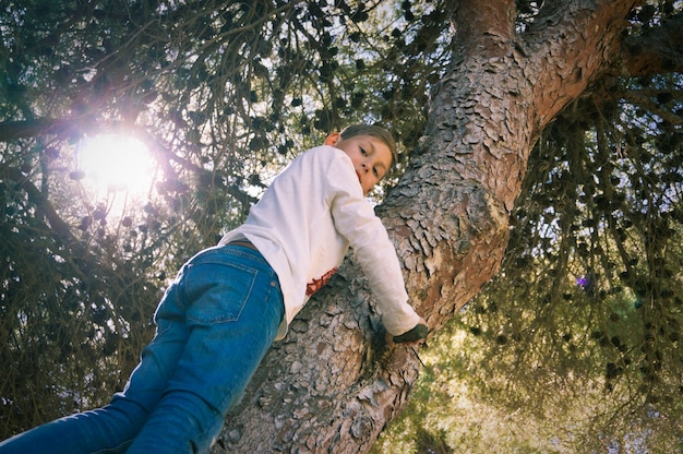 Ragazzo che si arrampica sul pino