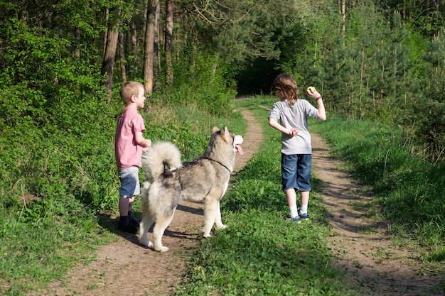 Ragazzo con il suo cane malamute su una passeggiata nella foresta