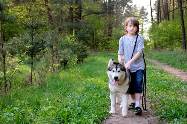 Ragazzo con il suo cane malamute su una passeggiata nella foresta