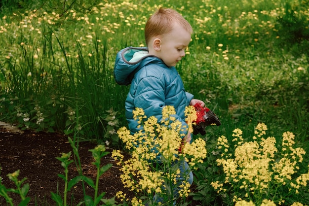 Ragazzo del bambino che cammina attraverso il campo di fiori di primavera giallo Concetto di infanzia