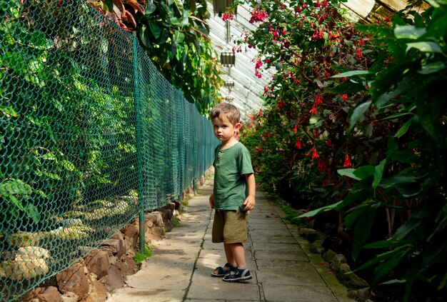 Ragazzo del bambino nella serra delle palme del giardino botanico
