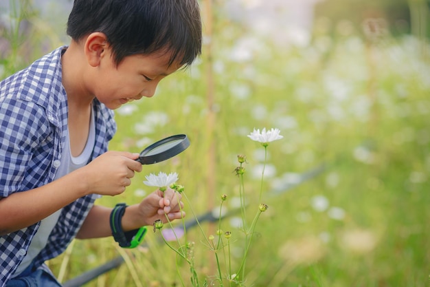 Ragazzo della felicità con la lente d'ingrandimento esploratore e apprendimento della natura, cortile del giardino fiorito