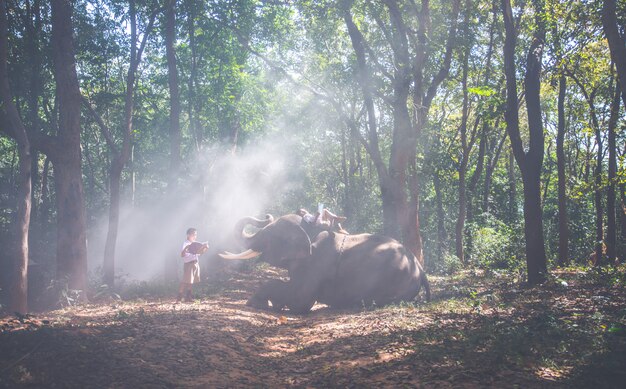 Ragazzo di scuola che gioca nella giungla con il suo amico elefante