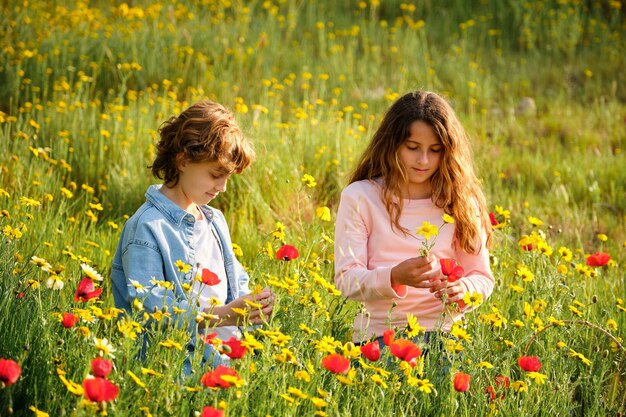 Ragazzo e ragazza che raccolgono fiori freschi mentre si rilassano in un campo verde erboso in un soleggiato giorno d'estate