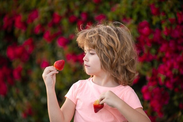 Ragazzo felice del bambino con le fragole fresche Il bambino mangia la fragola fresca