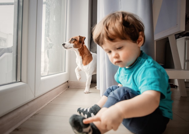 ragazzo gioca con il suo cane jack russell terrier.