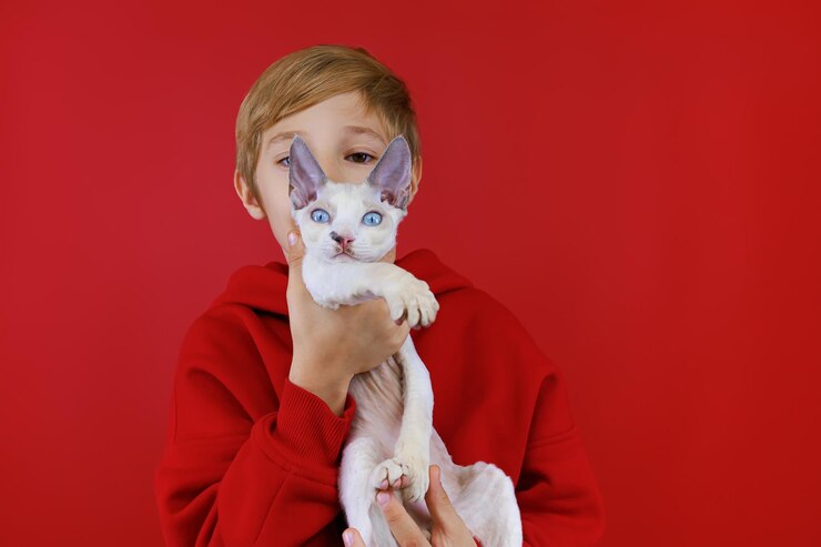 Foto ragazzo premuroso che tiene un gattino con gli occhi azzurri davanti a lui