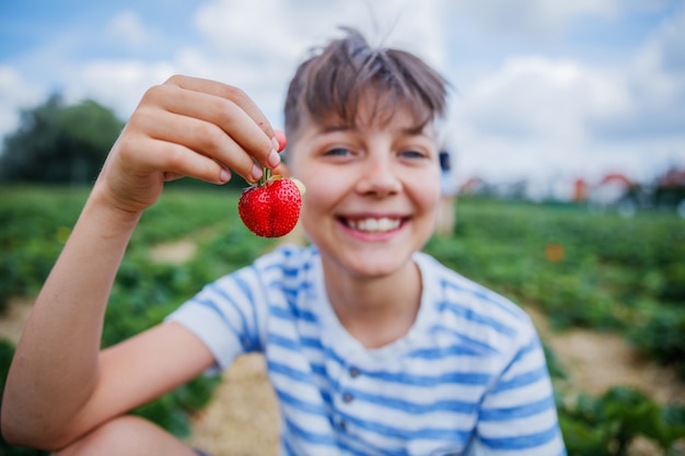 ragazzo raccogliendo e mangiando fragole in un campo